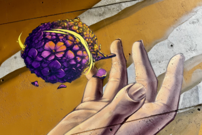 Agrandir l'image 40865 sur 6, fenêtre modale