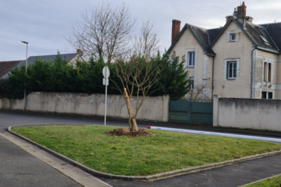 Agrandir l'image 40911 sur 6, fenêtre modale