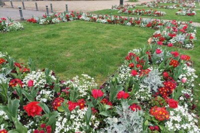 Agrandir l'image 14126 sur 6, fenêtre modale