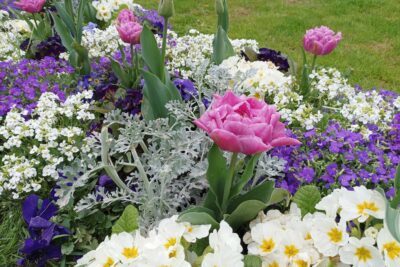 Agrandir l'image 14127 sur 6, fenêtre modale