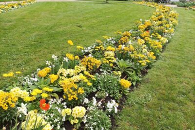 Agrandir l'image 14131 sur 6, fenêtre modale