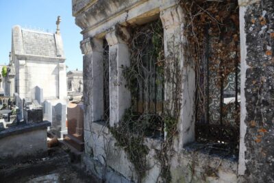 Agrandir l'image 14691 sur 6, fenêtre modale