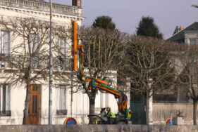 Machine qui taille des arbres sur une avenue à Vendôme