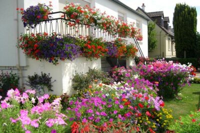 Balcon fleuri à Vendôme - Agrandir l'image 19026 sur 6, fenêtre modale