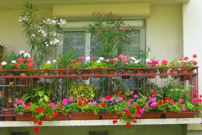 Balcon fleuri à Vendôme - Agrandir l'image 19028 sur 6, fenêtre modale