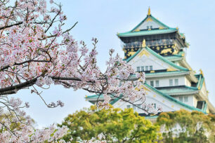 Cerisier en fleur devant temple japonais