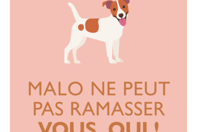 Agrandir l'image 21649 sur 6, fenêtre modale