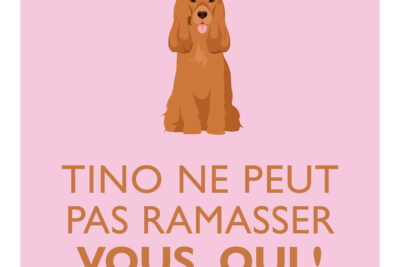 Agrandir l'image 21650 sur 6, fenêtre modale