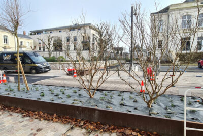 Agrandir l'image 25291 sur 6, fenêtre modale