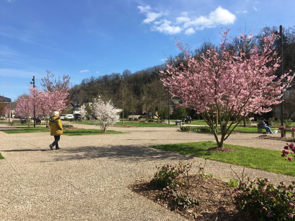 Agrandir l'image, fenêtre modale