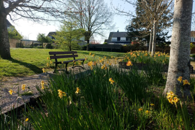 Agrandir l'image 37447 sur 6, fenêtre modale