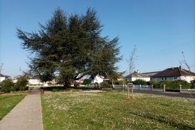 Agrandir l'image 37455 sur 6, fenêtre modale